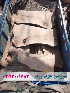اسلب چوب چنار