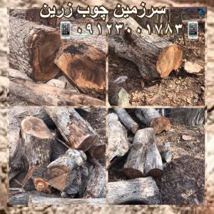 الوار چوب درختان