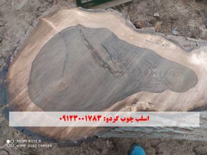 اسلب چوب گردو